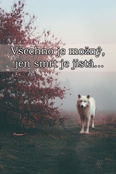 Citát #1