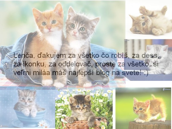 Jak psát web
