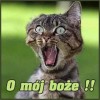 Vtipné obrázky, komentáře #2