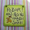 Pet TAG