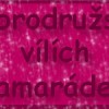 Dobrodružství vílích kamarádek - 2. kapitola